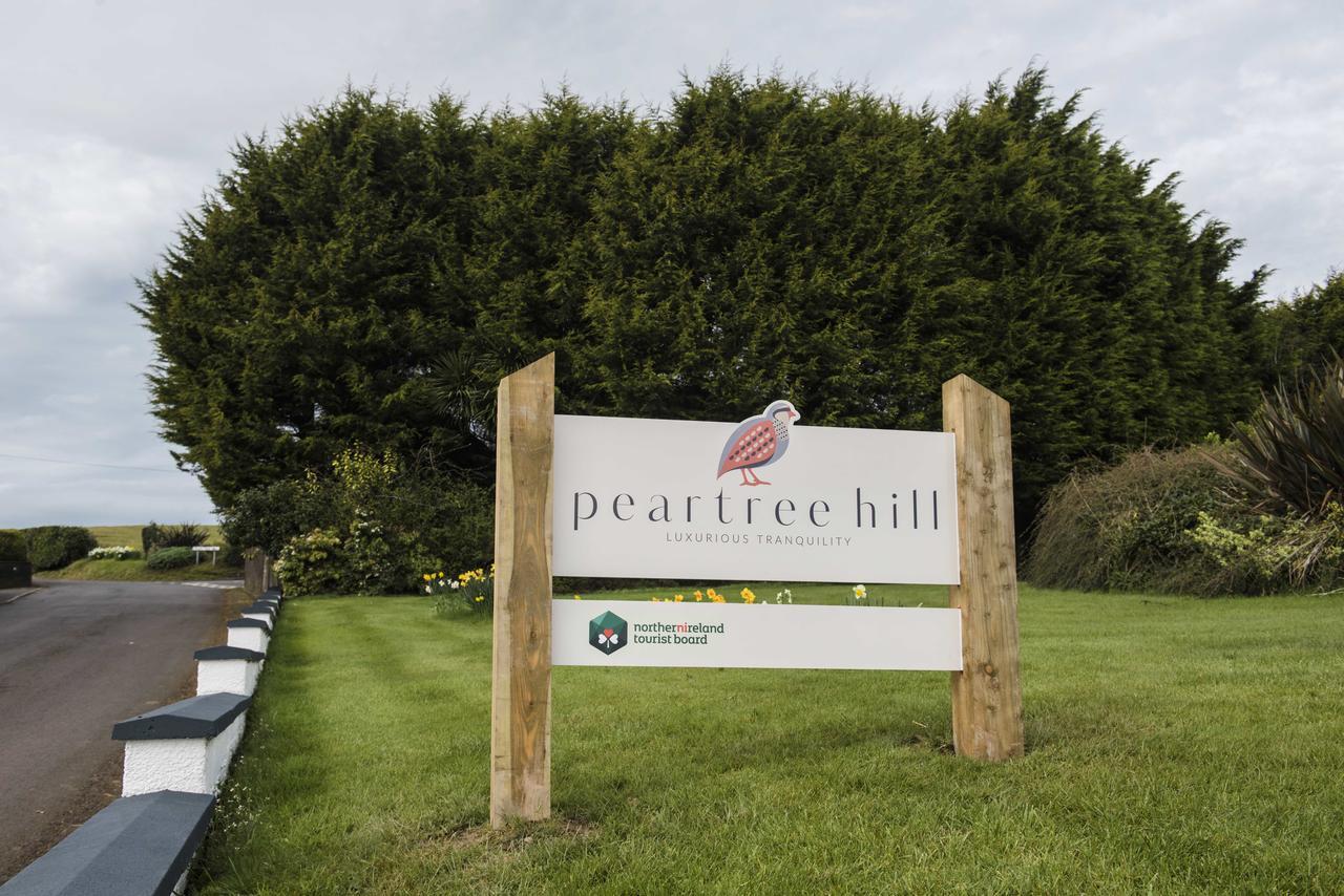 Bed and Breakfast Peartree Hill Dundonald  Esterno foto